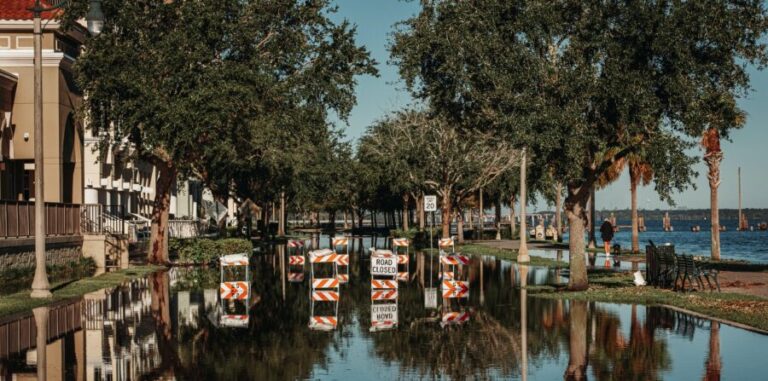 Why Some Florida Homeowners Need a Flood Certificate Survey