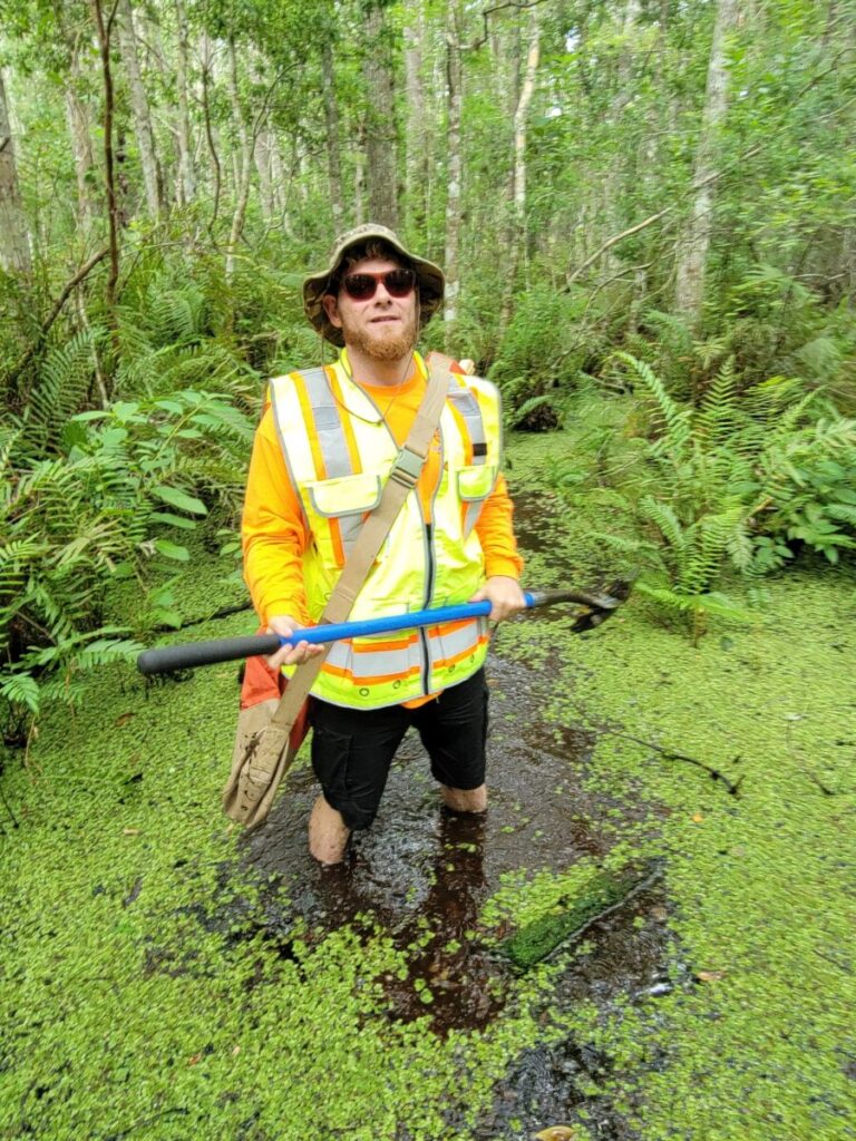 Land surveyor navigating through a Florida swamp, encountering diverse wildlife in their natural habitat.
